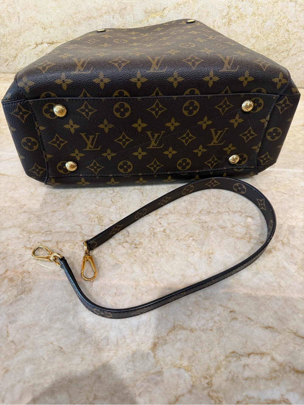 Louis Vuitton Monogram Canvas Tote in Brown and Gold - Picture 9 of 9
